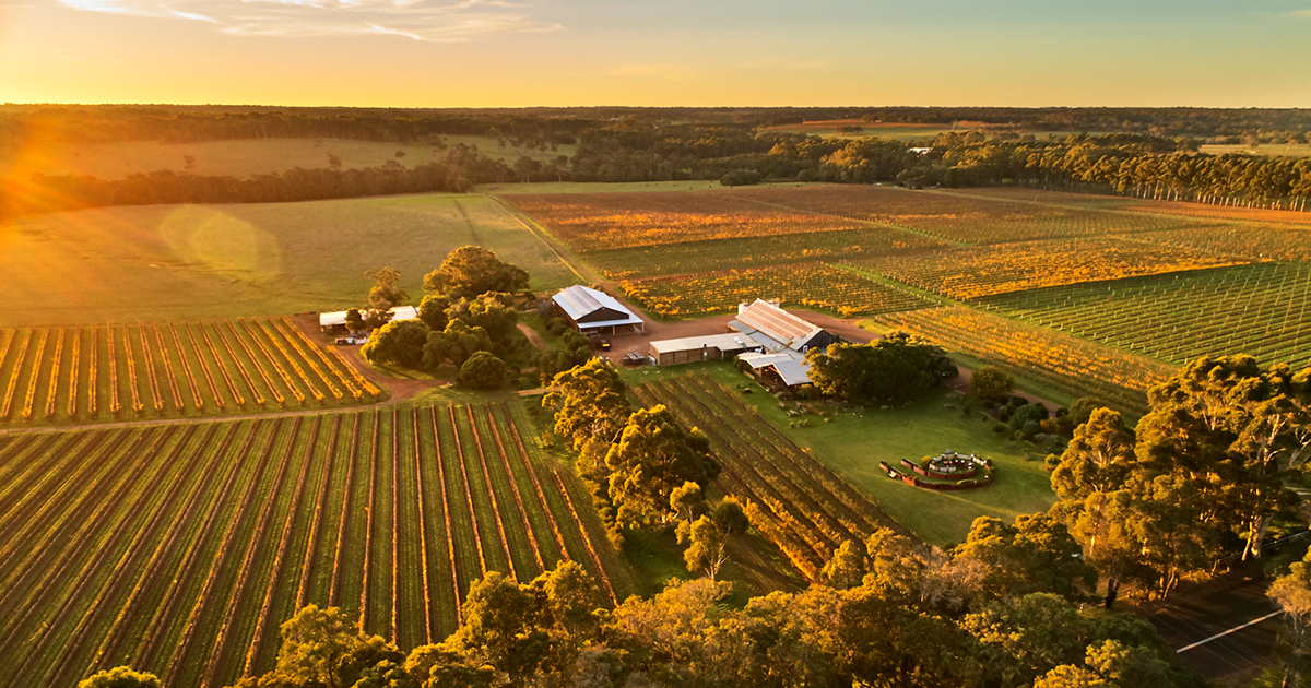 Top Margaret River Cellar Doors To Visit Wine Travel Halliday