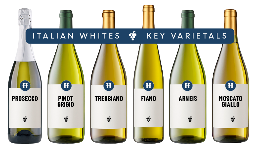 Collection of key Italian white wine varietals