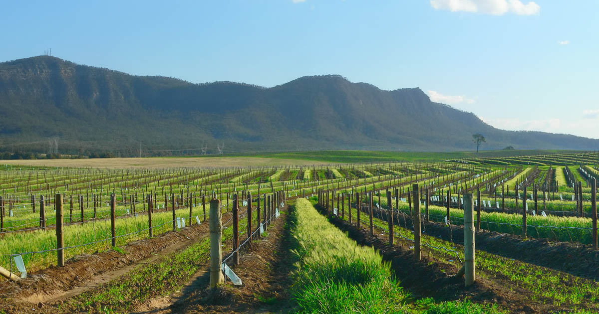 New South Wales Wineries Best New South Wales Wine Regions & Wineries Halliday Wine Companion