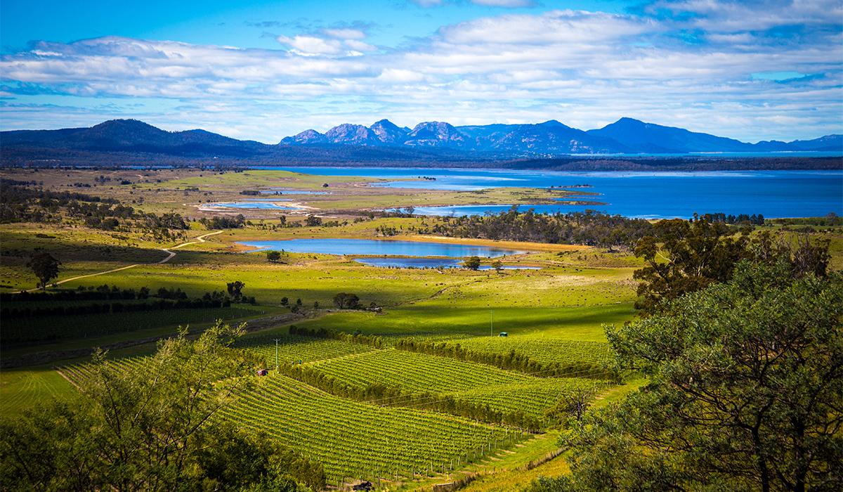Freycinet Vineyard, Tasmania