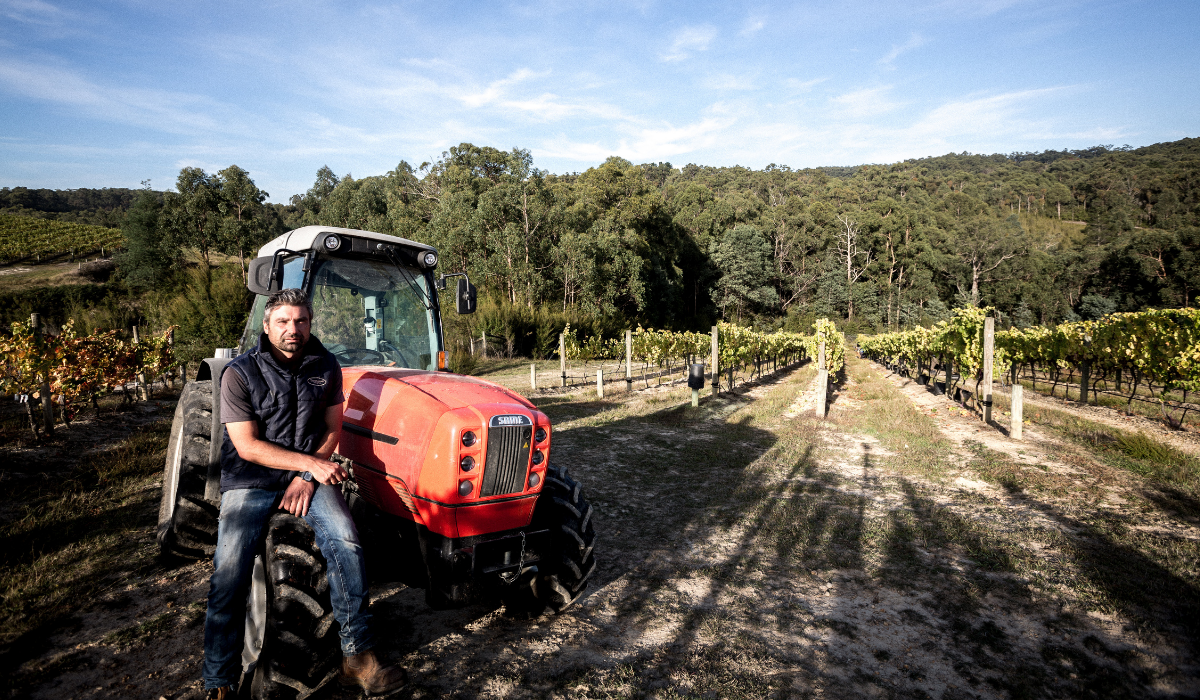 A man sits on his tractor among his vineyards