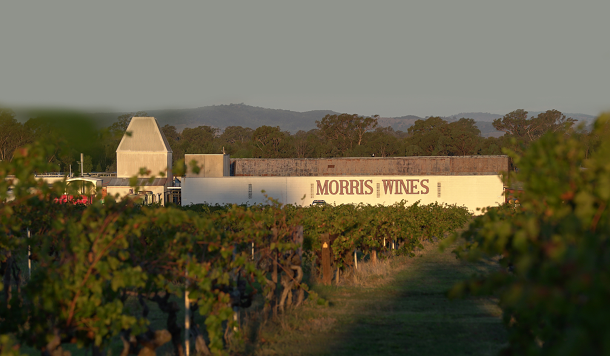 Morris Wines