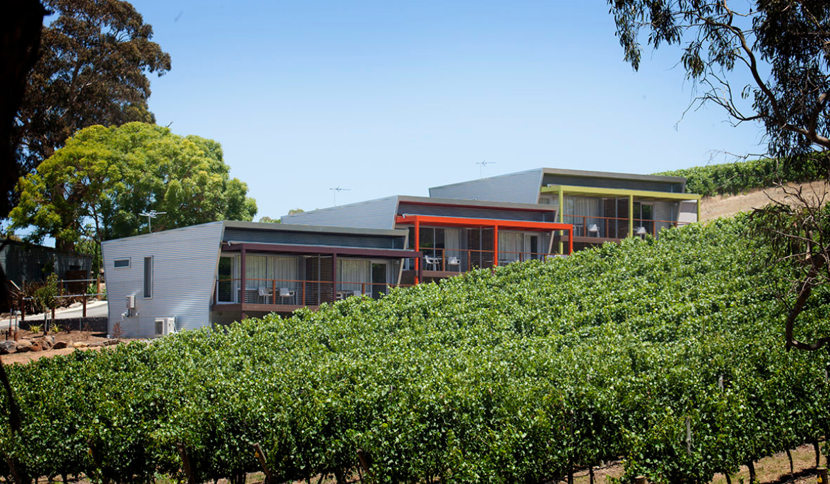 Grape vines in front of tin-topped buildings