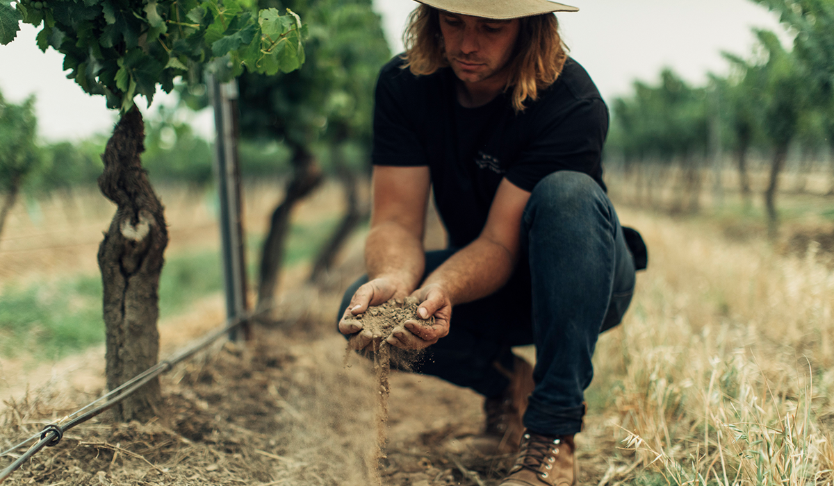 Angus Vinden holding soil with the vineyard in the background