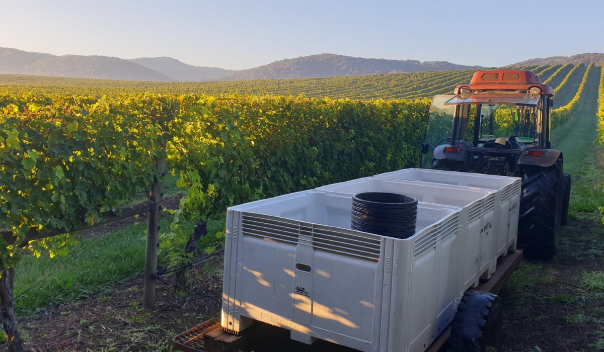 A tractor among the vineyards
