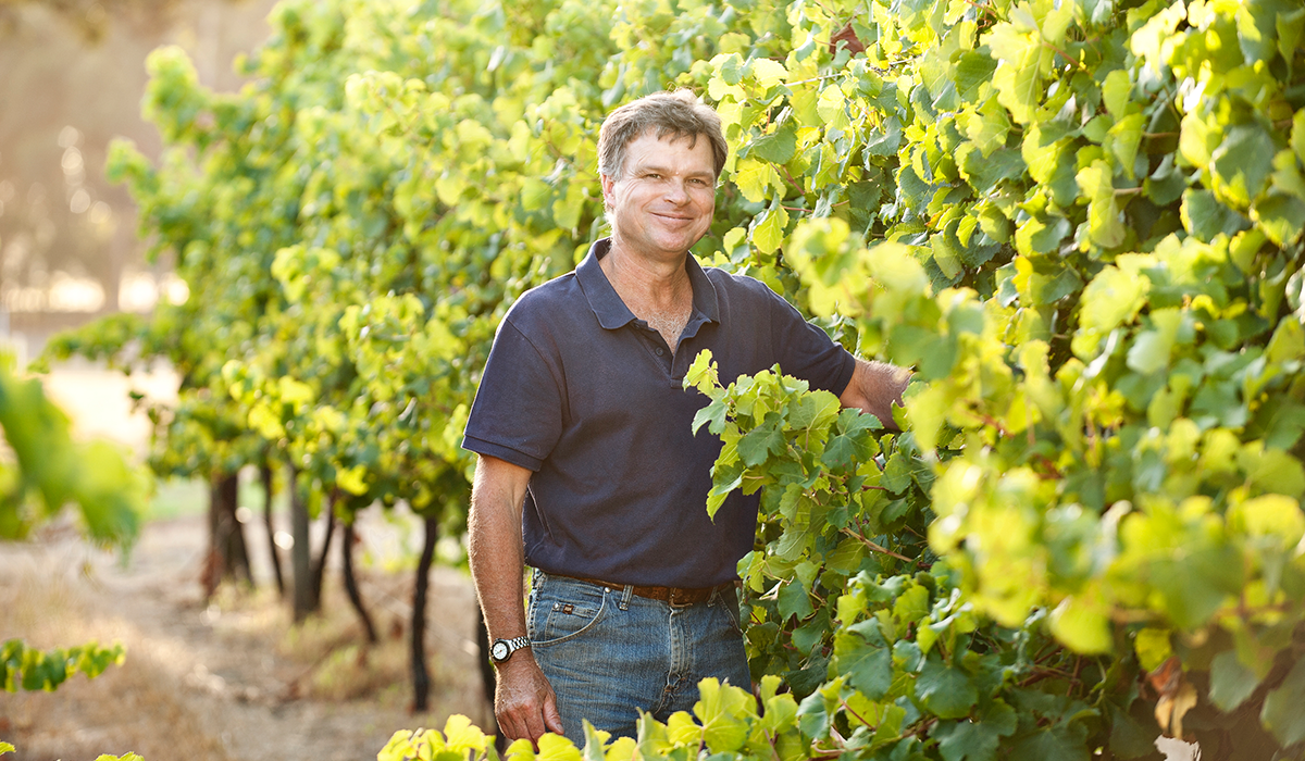 Stuart Pym in the vineyard