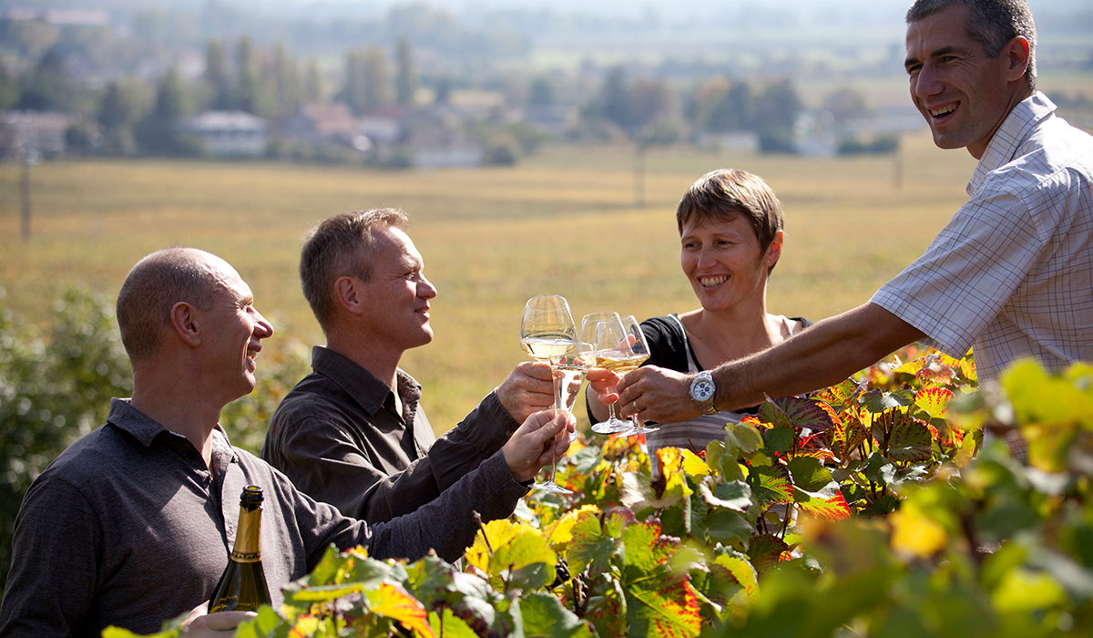 Four people tasting wine in a Burgundy vineyard