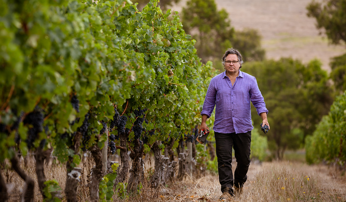Bruce Dukes in the vineyard