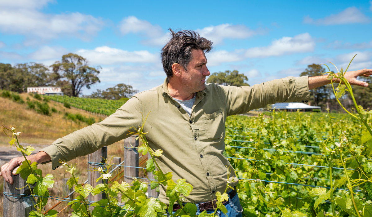 A man poses in a vineyard