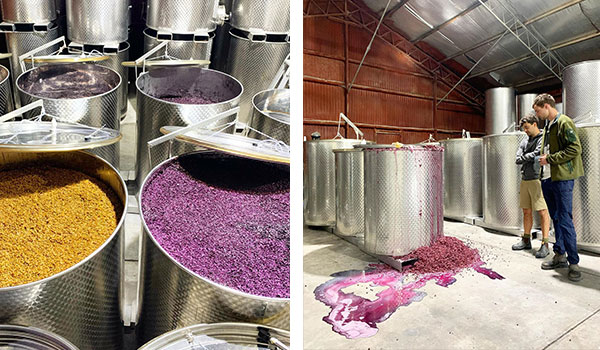 Fermenting vats of wine