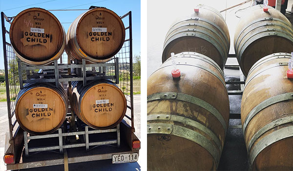 Ageing wine in barrel
