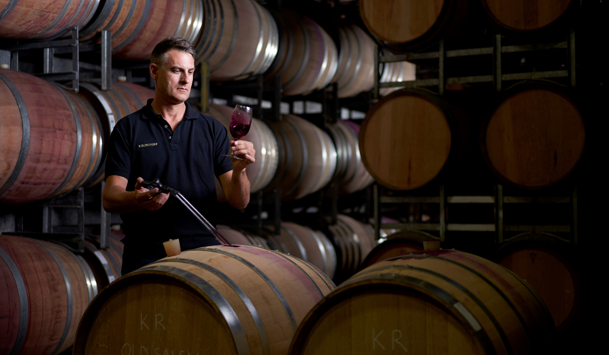 A winemaker stands in a winery siphoning wine from a barrel