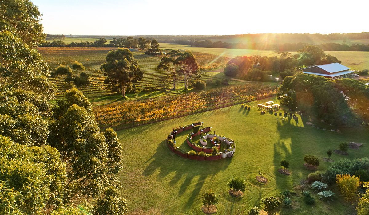 Aerial view of lawn at Cullen winery