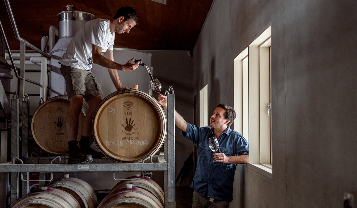Two men testing wine from barrels