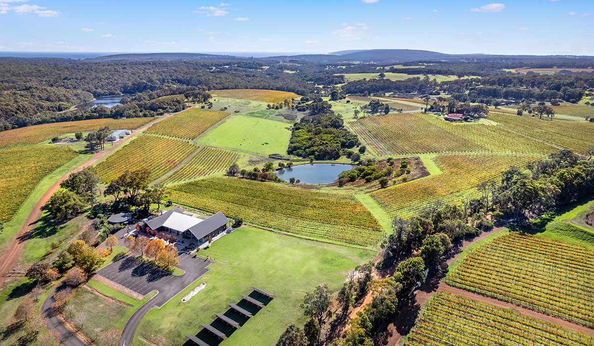Aerial shot of Wills Domain vineyard