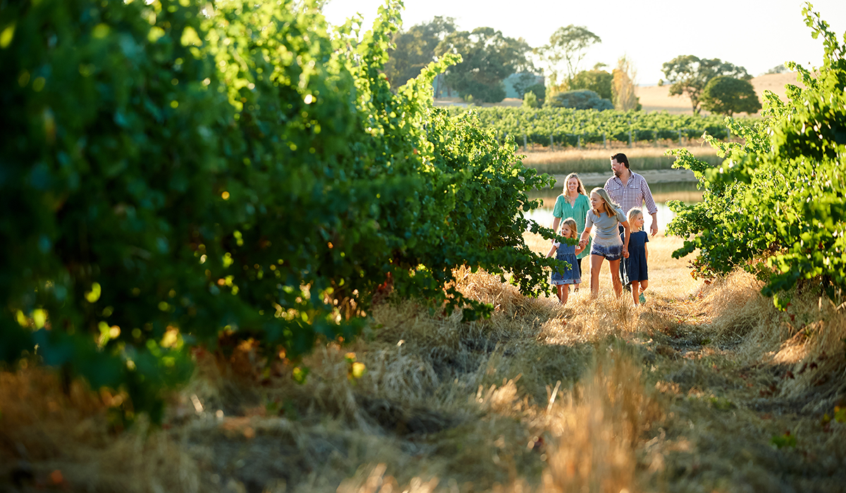 Family in vineyard