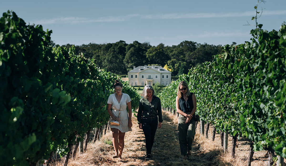 Three women walking through vineyards