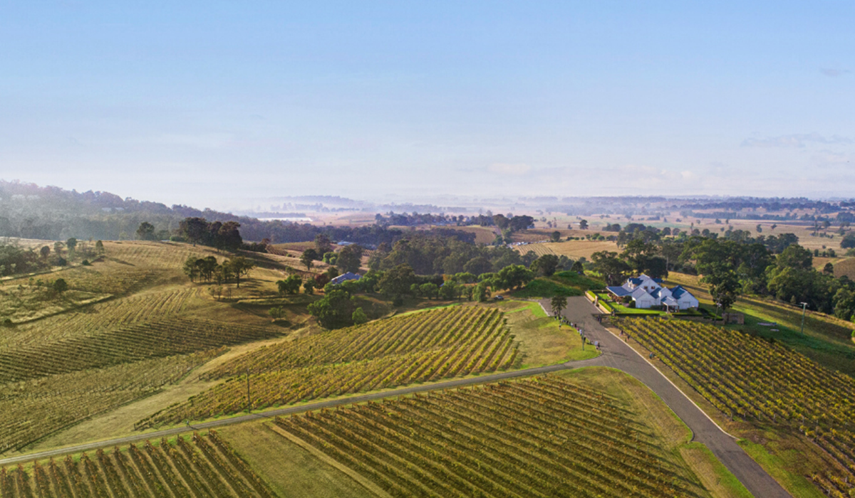 Drone view of Audrey Wilkinson vineyard
