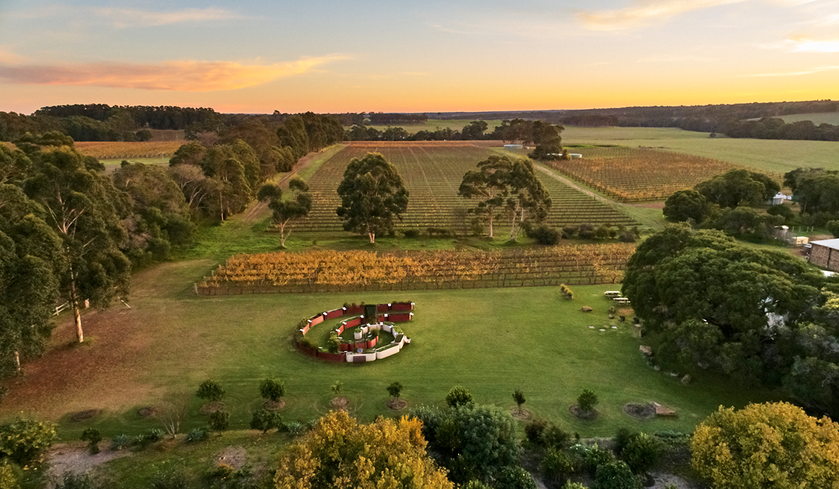 Aerial shot of Cullen winery