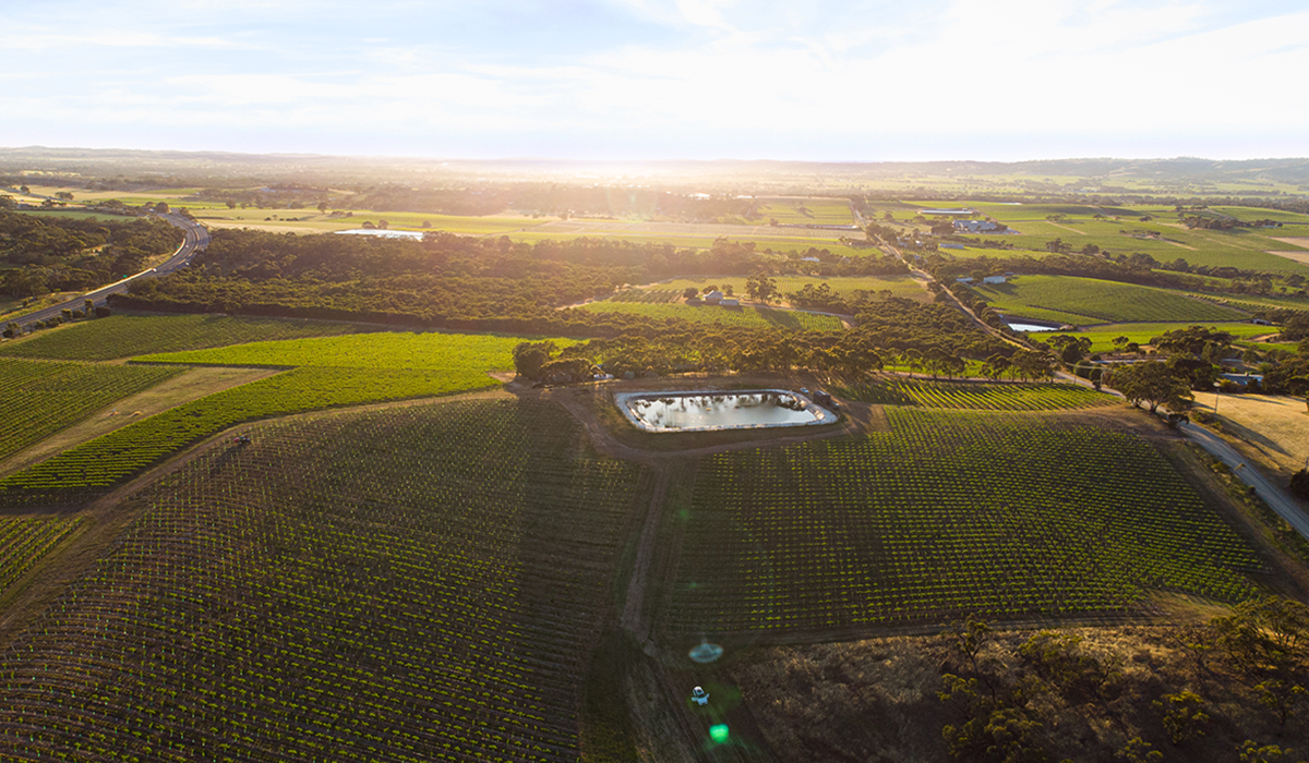 Aerial shot of Utopos vineyard