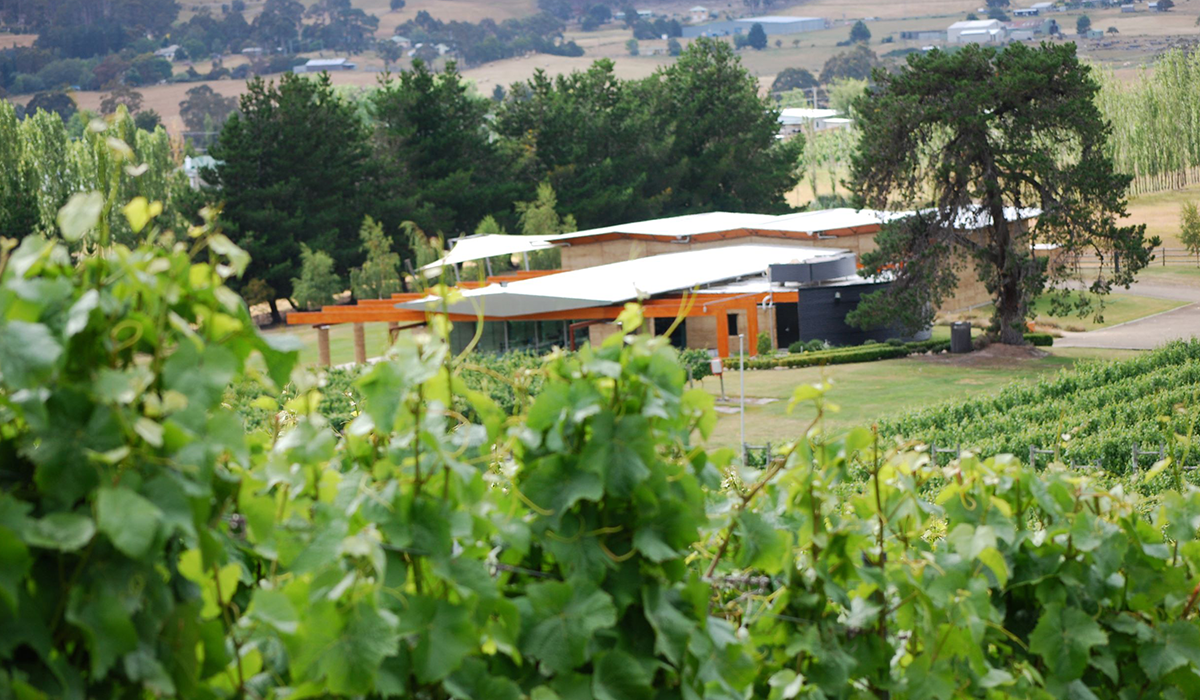 Home Hill winery