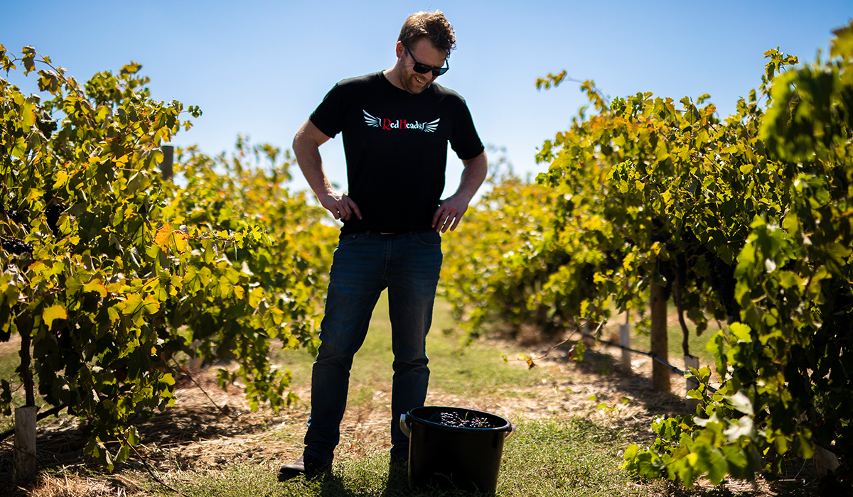 RedHeads winemaker in vineyard