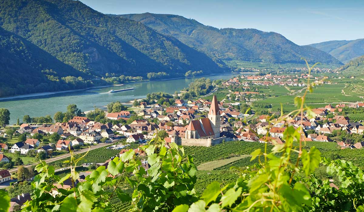 Looking down through the vines to a village, the river and mountains in Austria