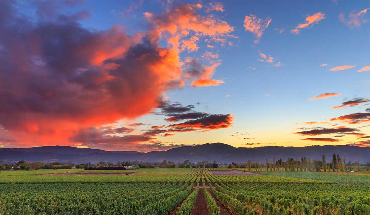 Dense red clouds over a vineyard in the Napa Valley