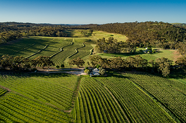 Tim Adams Australian Wine Companion