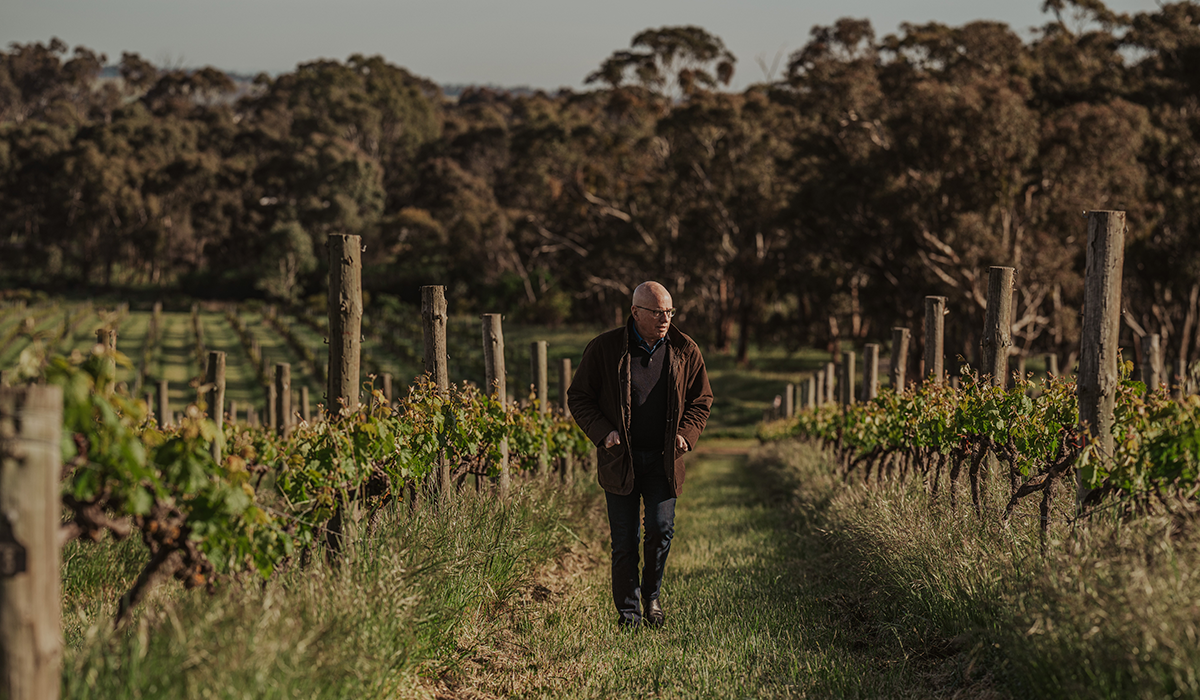 Jeff Grosset in the vineyard