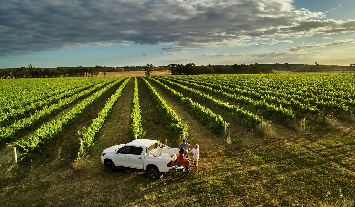 Alkoomi vineyard with a ute parked and the team sitting on the tray