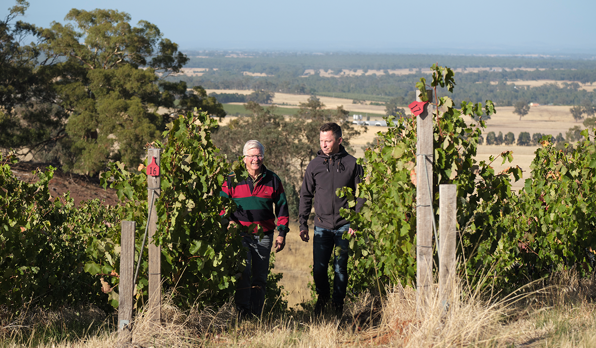 Ian and Daniel in the vineyard
