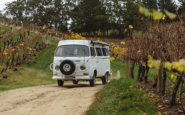 Volkswagen driving through the autumn vines in the Adelaide Hills