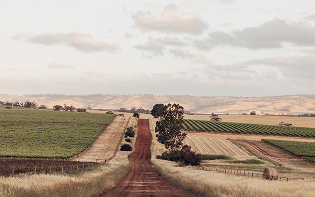 Red dirt road in the Barossa Valley