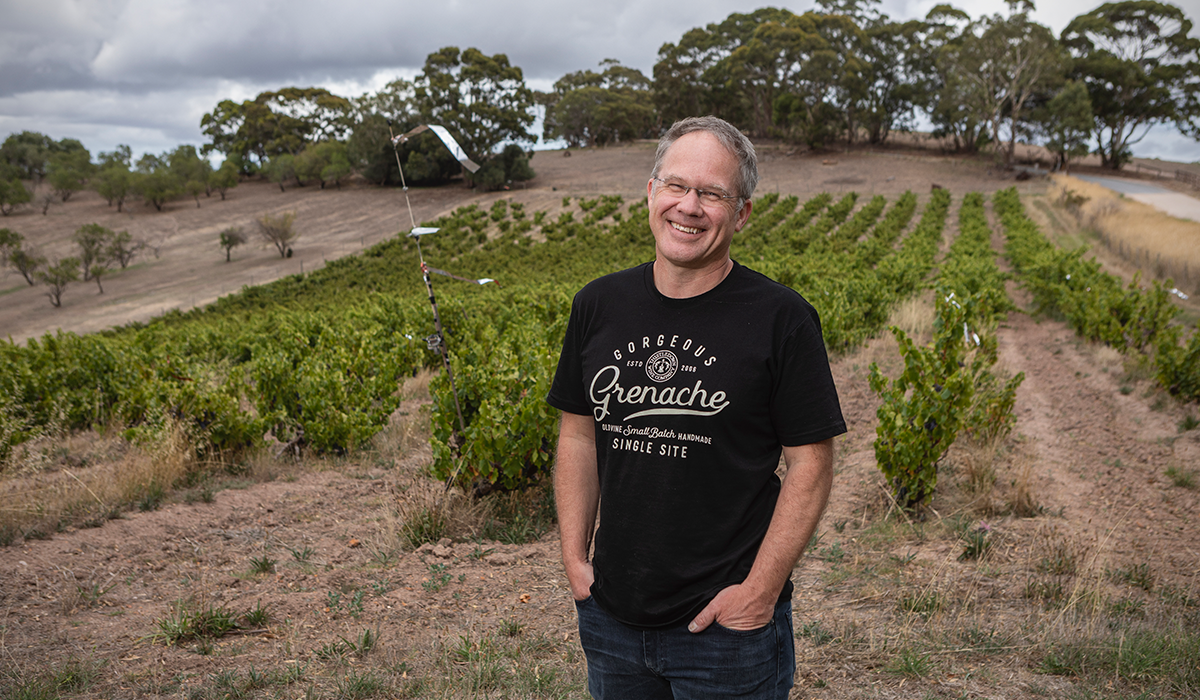 Giles in the vineyard