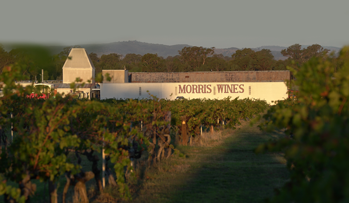 Morris Wines cellar door view from the vineyard
