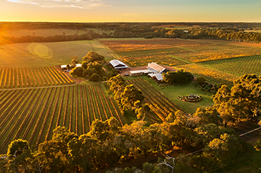 Drone view of Cullen Wines