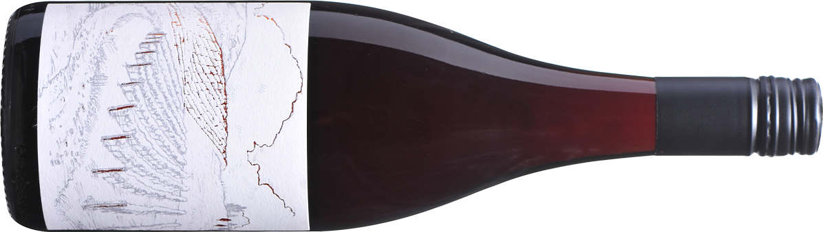 2019 Greystone Wines Ferment Pinot Noir