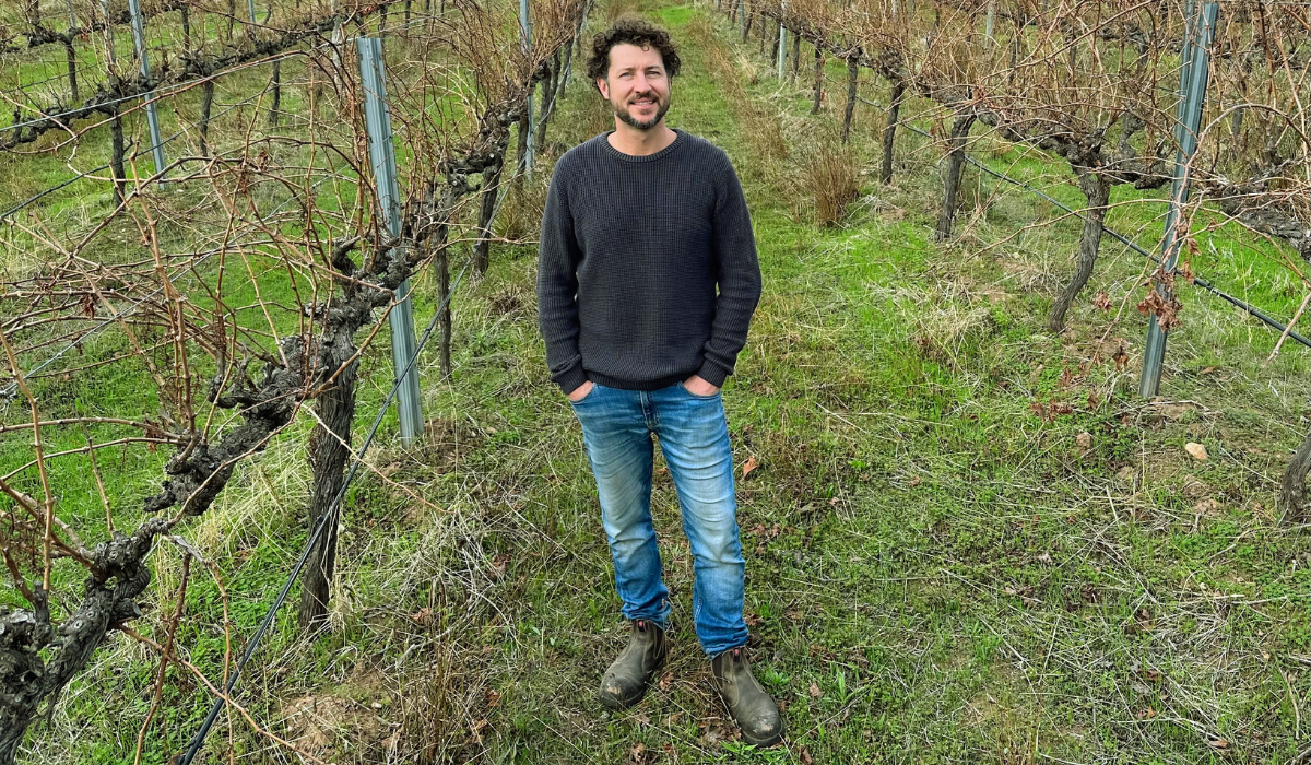 Mark Kenneally in vineyard
