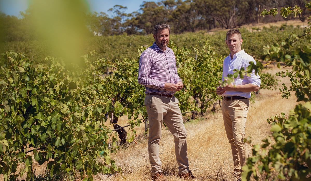 Winemakers from Chance Encounter in the vineyard