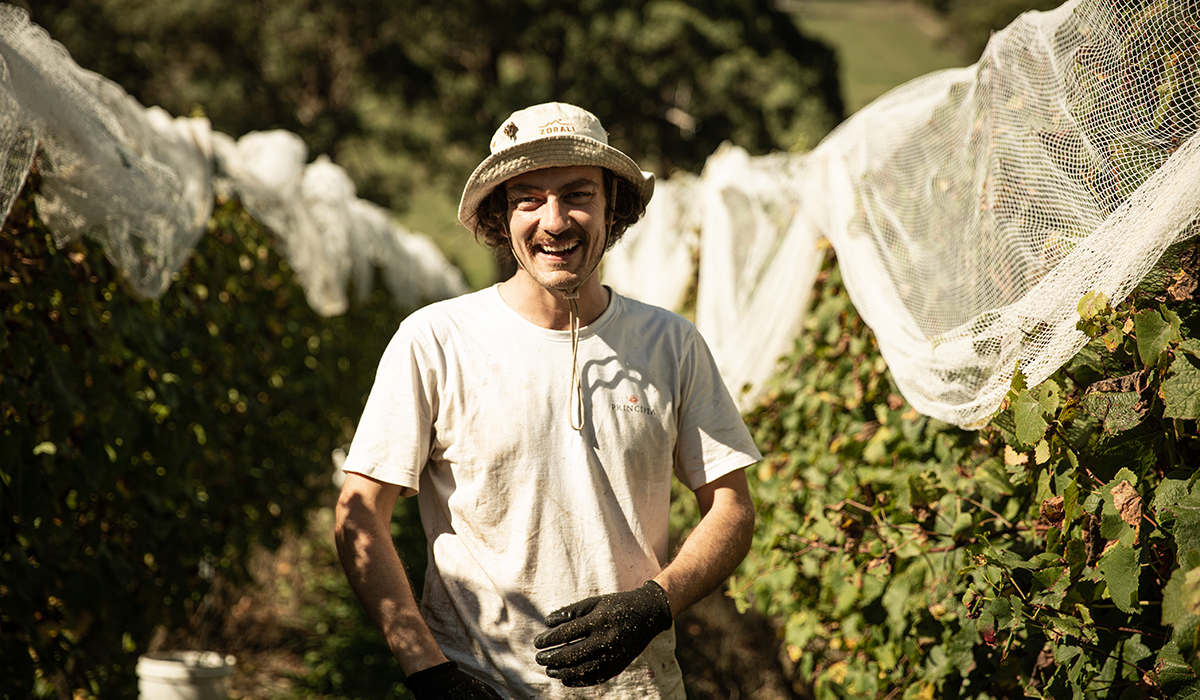 Ryan Horaczko in the vineyard