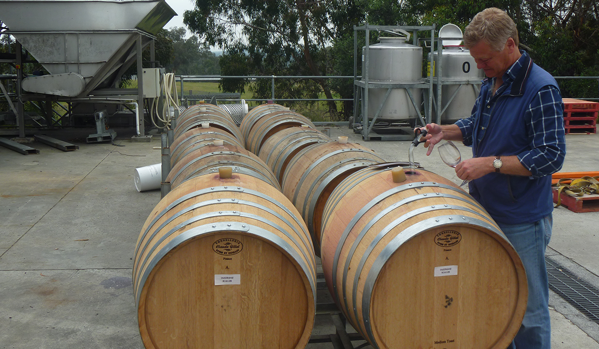 Hugh sampling wine from the barrels