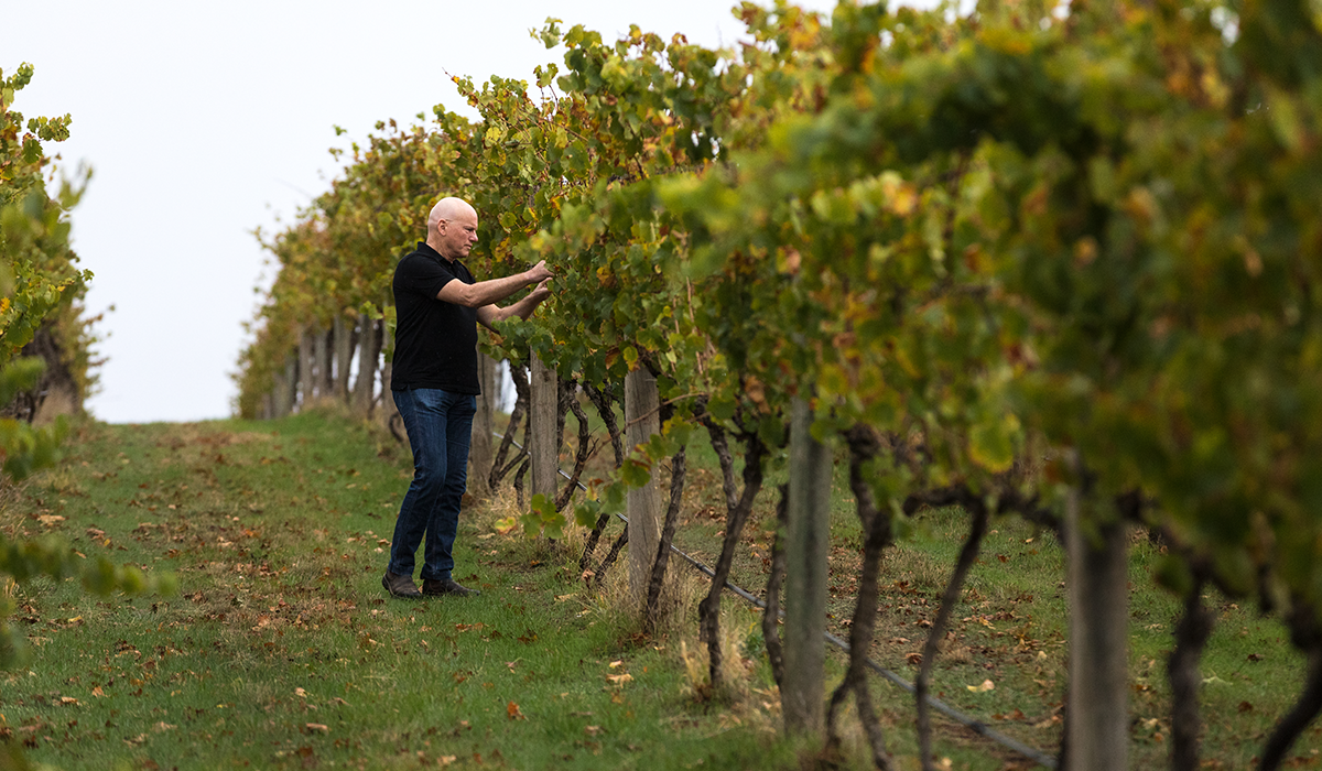 Jeffrey Grosset in the vineyard
