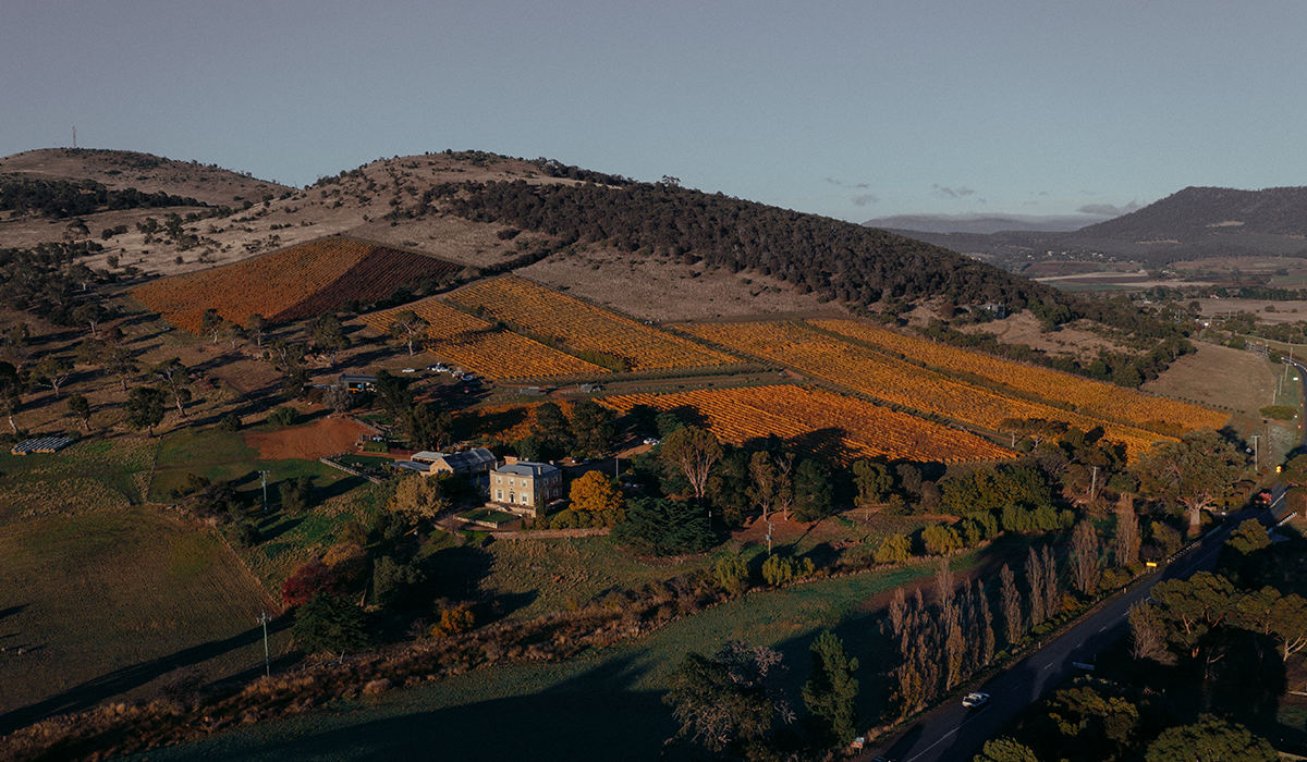 The Pooley property from drone view with vineyards in the background