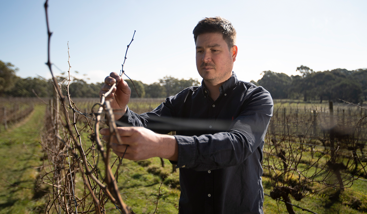 Joshua Cooper in the vineyard