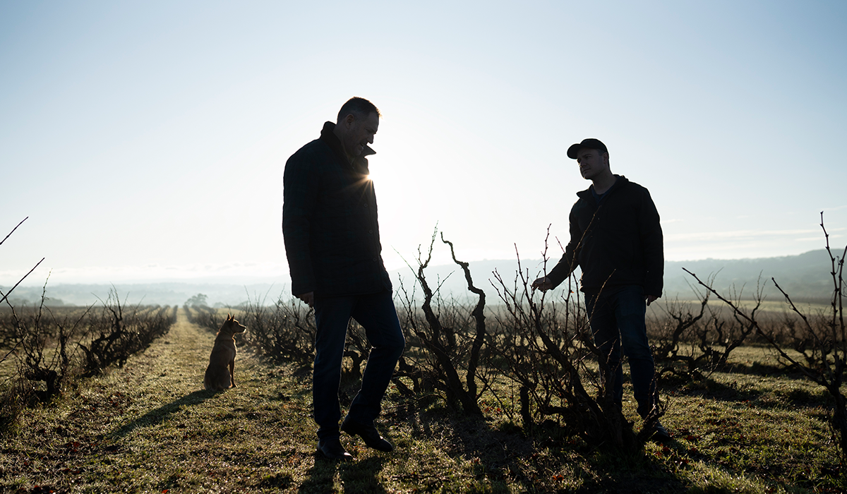 Yangarra winemakers assessing the old vines