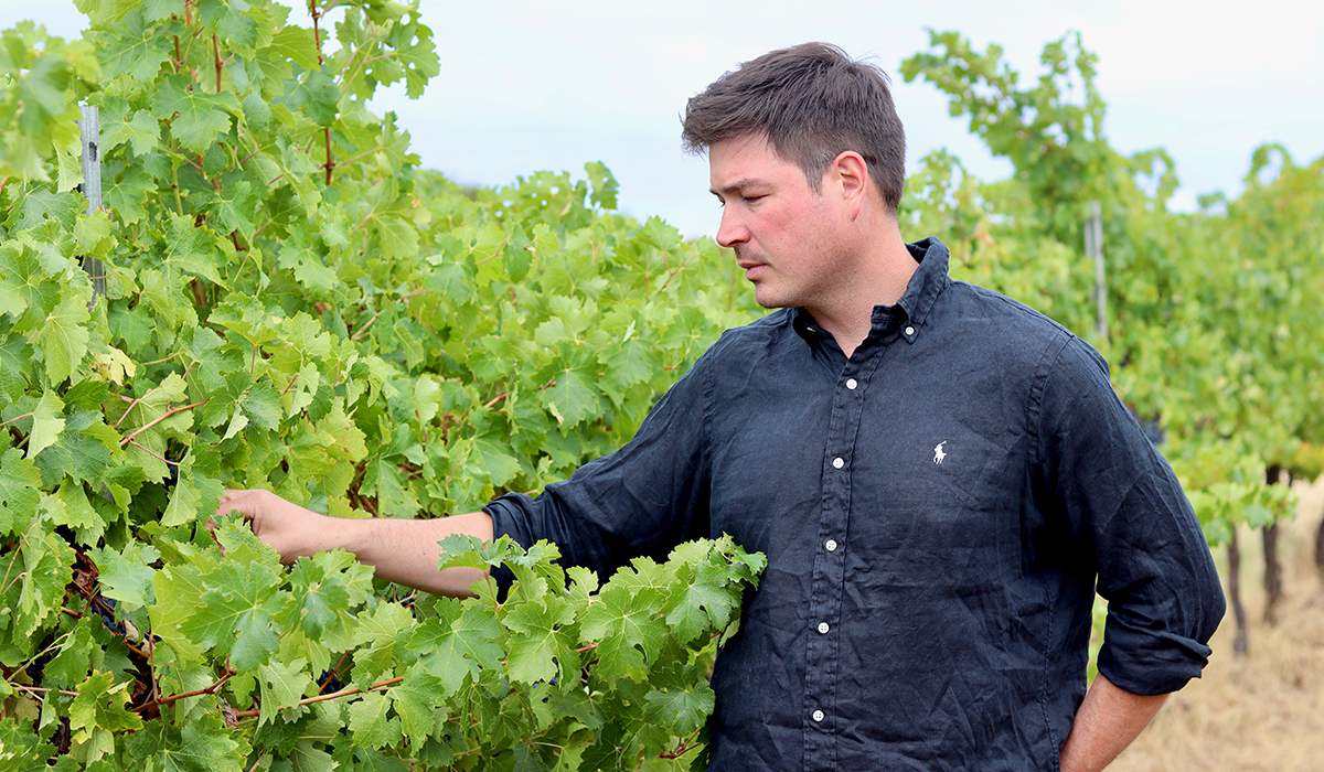 Joshua Cooper in the vineyard
