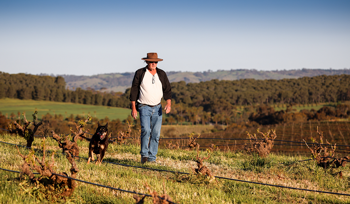 Dave Powell in the vineyard with his dog