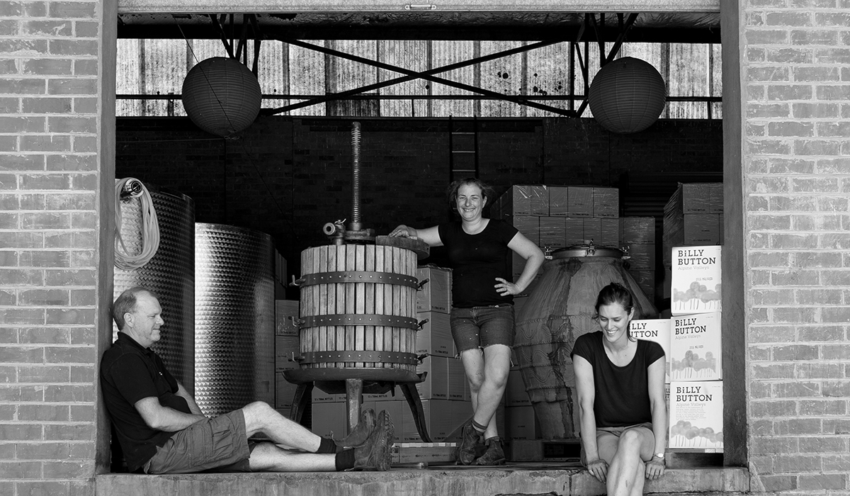 The Billy Button team in the winery