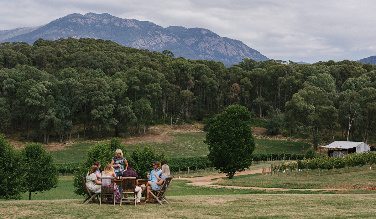 A group of people sitting at a table outside with the Anderson & Marsh vineyard in the background